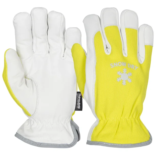 Otto Schachner Snow Dry