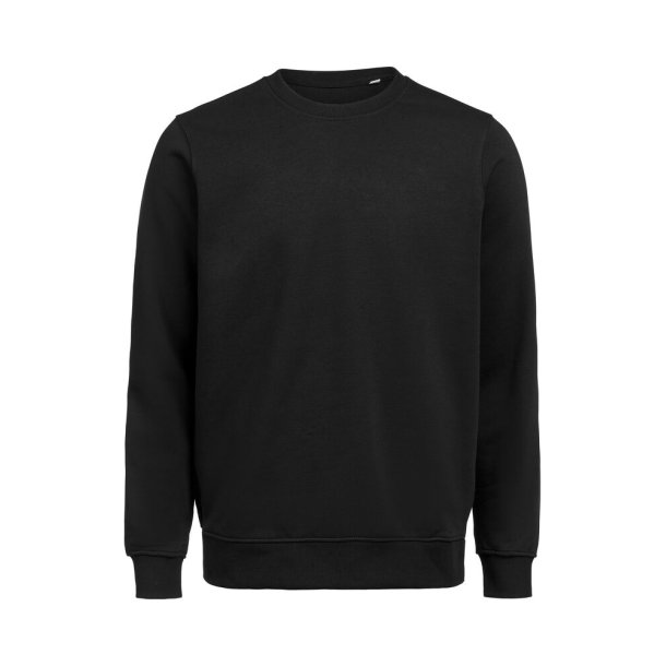 UM Crewneck (OCS-RCS)  Regular Fit Unisex