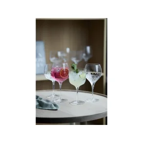 F&H Luigi Bormioli Gin & Tonic 8 ass., Selection SAMPAK