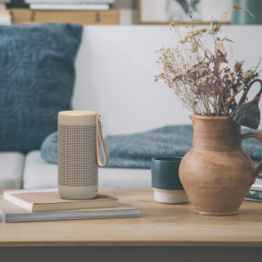 Kreafunk aCOUSTIC 2 hjtaler 