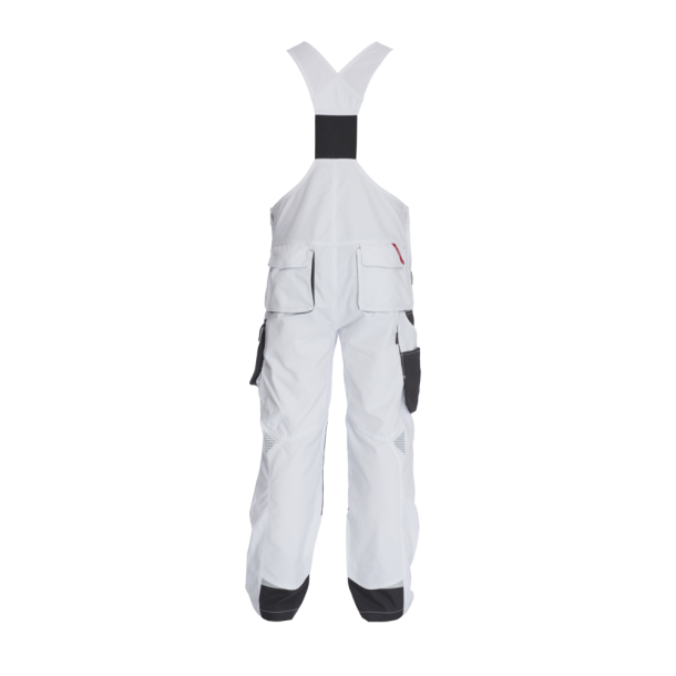 F. Engel Galaxy overall