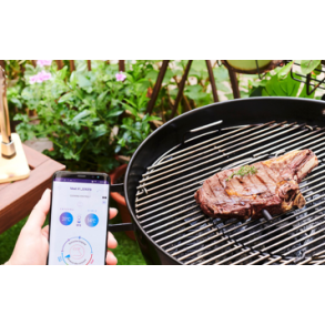 Funnordic MASTRAD MEAT IT + TRDLST TERMOMETER