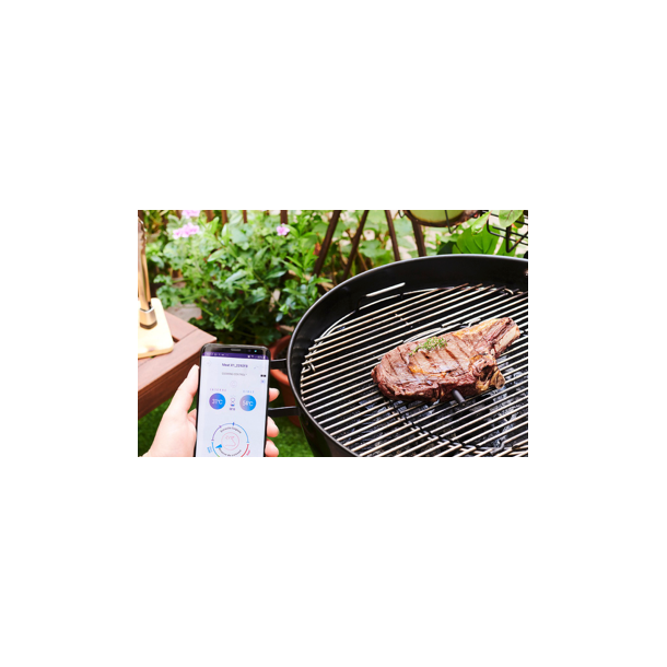 Funnordic MASTRAD MEAT IT + TRDLST TERMOMETER