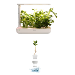 Funnordic LIVOO HYDROPONISK KKKENHAVE