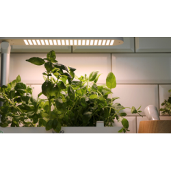 Funnordic LIVOO HYDROPONISK KKKENHAVE