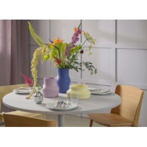 F&H Gense Vases�t Dorotea