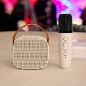 Funnordic LIVOO LEDNINGSFRI MINI KARAOKE