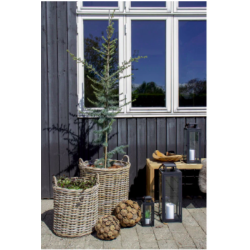 House Nordic Indo Kurve