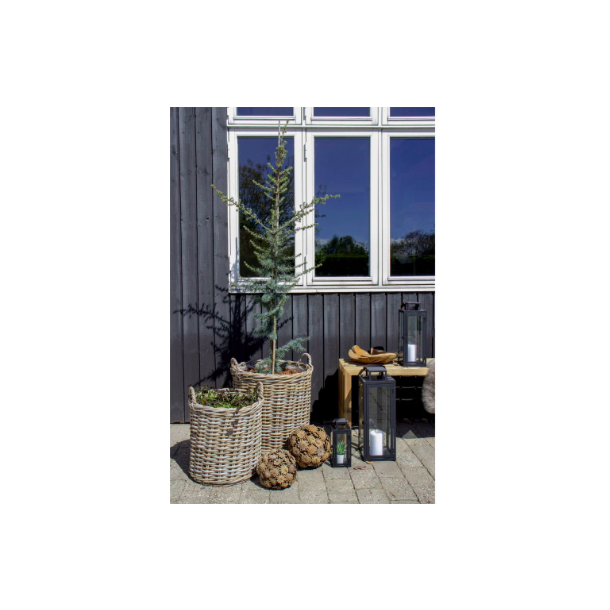 House Nordic Indo Kurve