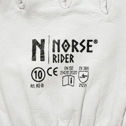 Norse Rider